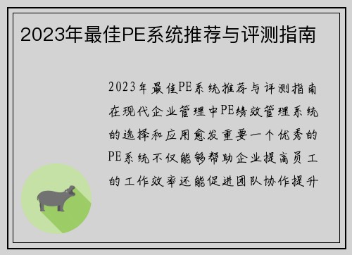 2023年最佳PE系统推荐与评测指南